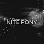 El paquete Ford Mustang Black Accent 2023 se llamarÃ¡ "Nite Pony"